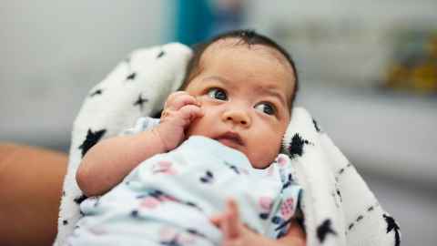 Born too soon: improving preterm birth pregnancy care across Aotearoa